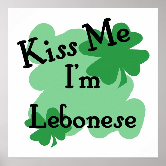 Affiche Lebonese (Devant)