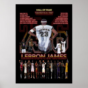 Affiche lebron james, nba, basket-ball, roi james, slam du