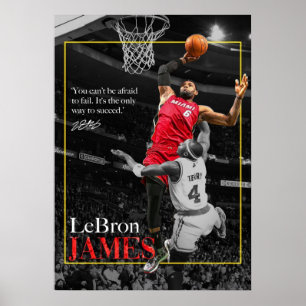Affiche lebron james, nba, basket-ball, roi james, slam du