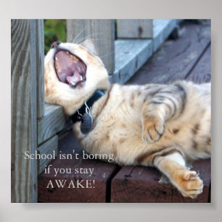 Affiche L'école n'est pas ennuyeuse