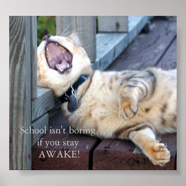 Affiche L'école n'est pas ennuyeuse (Devant)