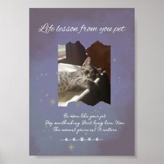 Affiche Leçons de vie personnalisées et rêveuses de votre