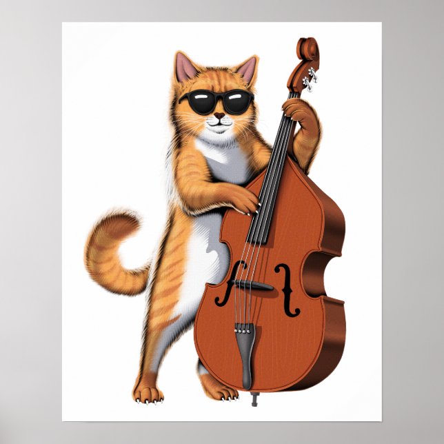 Affiche Lecteur Cat Double Basse (Devant)
