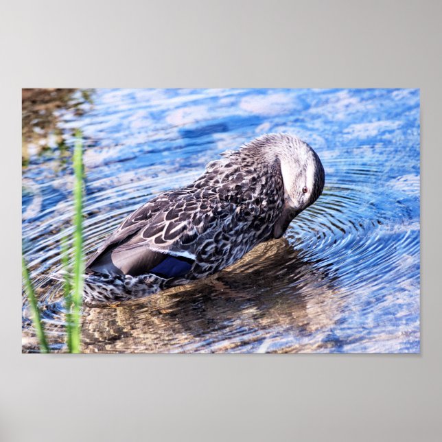 Affiche L'effet Grooming (Devant)