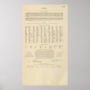 Affiche Légende 16667 Australie