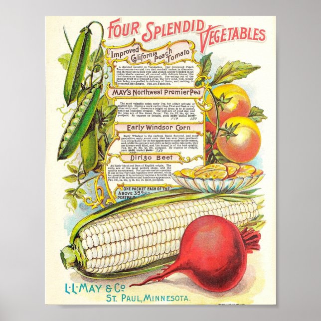 Affiche Légume coloré sain Vintage semis (Devant)