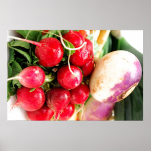 Affiche Légumes à racine