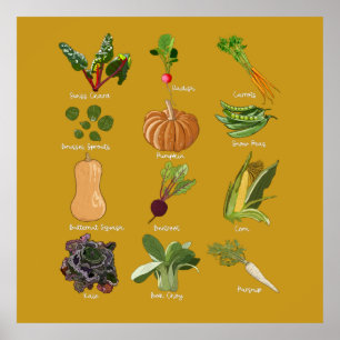 Affiche Légumes d'automne Récolte de légumes d'automne