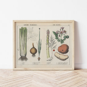 Affiche Légumes de cuisine   Charlotte Mary Yonge