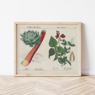 Affiche Légumes de cuisine   Charlotte Mary Yonge