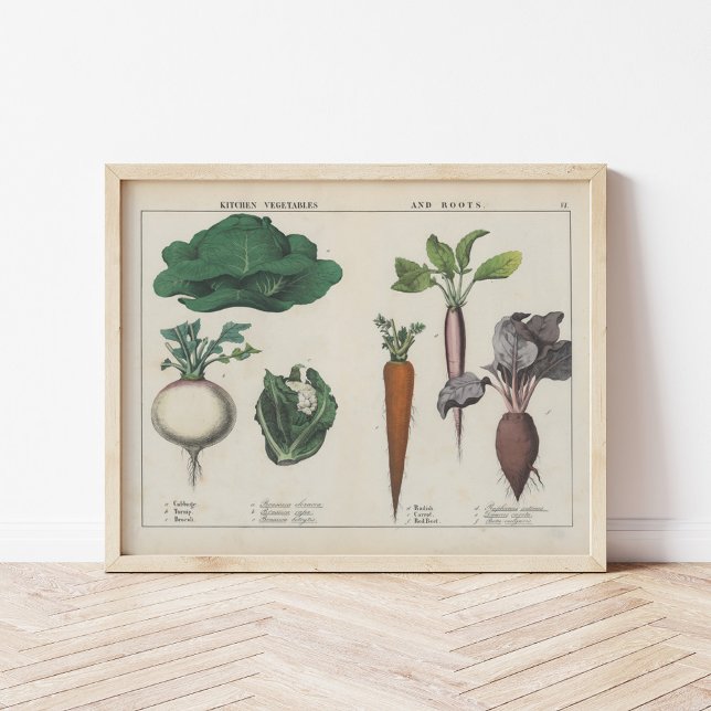 Affiche Légumes de cuisine | Charlotte Mary Yonge (Créateur téléchargé)