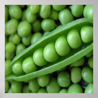 AFFICHE LÉGUMES DE FRUITS