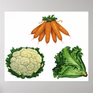 Affiche Légumes Vintage; Carottes, Chou-fleur, Laitue