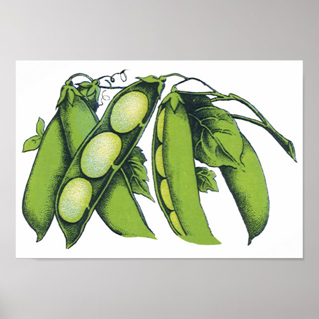 Affiche Légumes vintages ; Haricots de Lima, Aliments Agri (Devant)