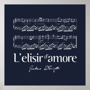 Affiche L'elisir d'amore 2
