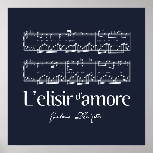 Affiche L'elisir d'amore 2 (Devant)