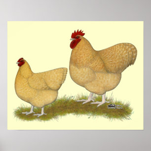 Affiche Lemon Cuckoo