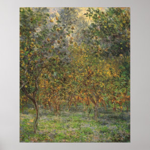 Affiche Lemon Grove à Bordighera par Claude Monet
