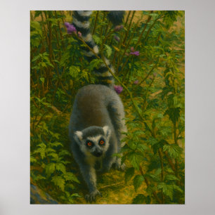 Affiche Lémur en fleur - Explorateur à anneaux