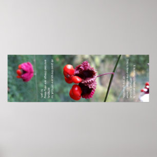 Affiche L'ensemble du schéma des choses