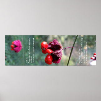 Affiche L'ensemble du schéma des choses