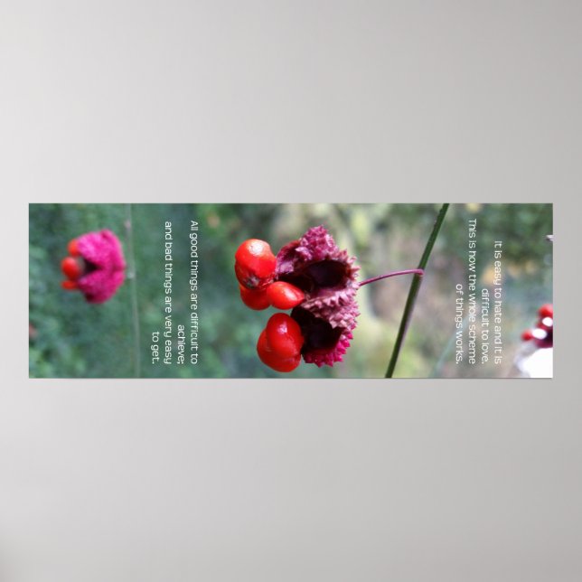 Affiche L'ensemble du schéma des choses (Devant)