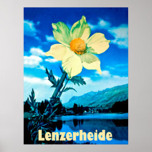 Affiche Lenzerheide, Suisse, fleur d'été sur le lac