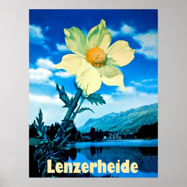 Affiche Lenzerheide, Suisse, fleur d'été sur le lac (Devant)