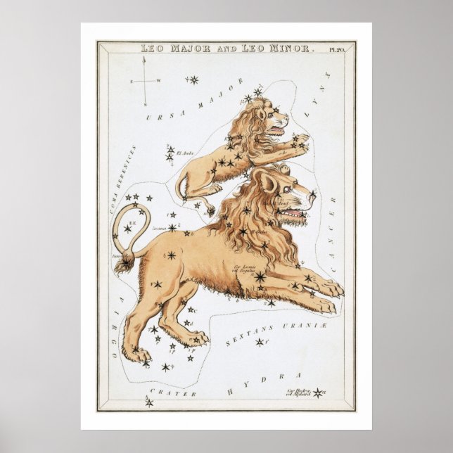 Affiche Leo Astrologie Zodiac (Devant)
