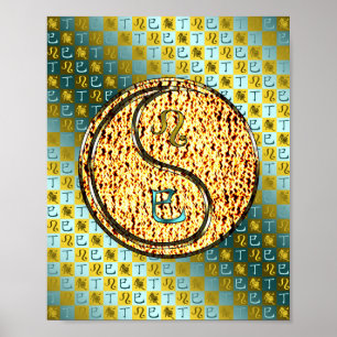 Affiche Leo & Fire Snake