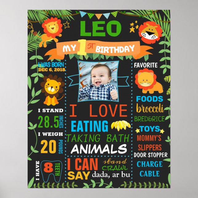 Affiche Leo Lions Jungle animaux Fête d'anniversaire sauva (Devant)