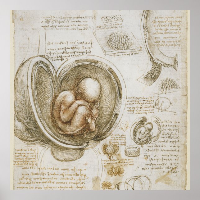 Affiche Léonard de Vinci (Devant)