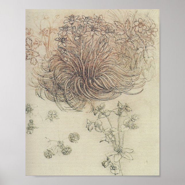 Affiche Leonardo Botanical Study (Devant)
