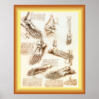 Leonardo da Vinci ~ Anatomie des pieds ~