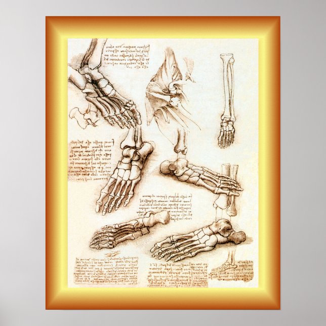 Affiche Leonardo da Vinci ~ Anatomie des pieds ~ (Devant)