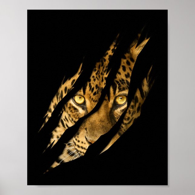 Affiche Léopard Cheetah Tiger Léopard Face Lion Chat (Devant)