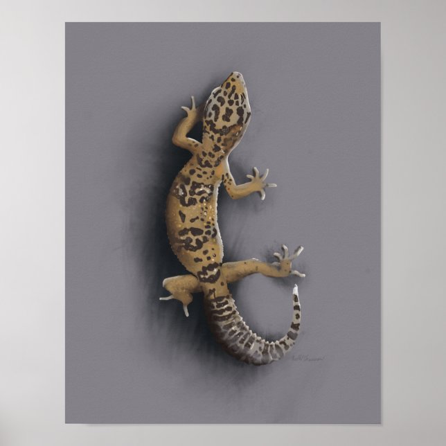 Affiche Léopard de gecko (Devant)
