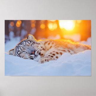 Affiche Léopard des neiges Animal sauvage Environnement na