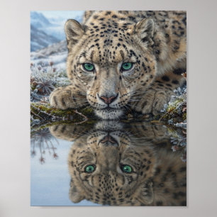 Affiche Léopard des neiges aux yeux verts de près, reflet