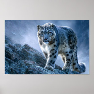 Affiche Léopard des neiges sur le sommet d'une montagne – 