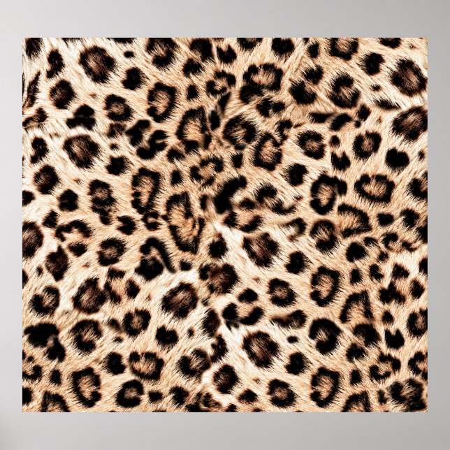 Affiche Leopard Design Motif : Wild Elegance. (Devant)