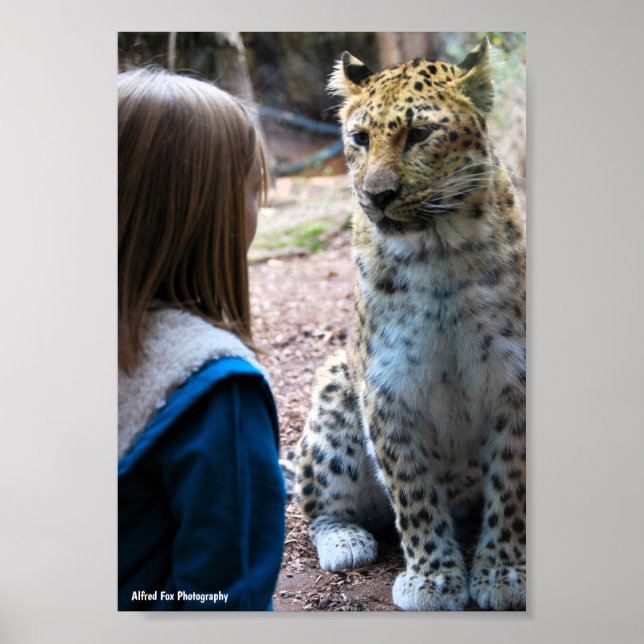 Affiche Léopard et Enfant (Devant)