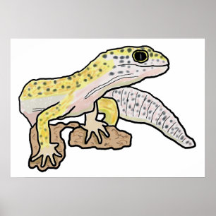 Affiche Leopard Gecko