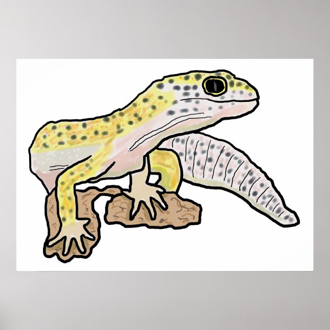 Affiche Leopard Gecko (Devant)