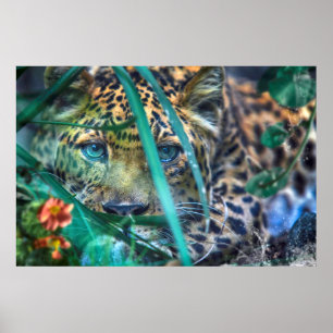 AFFICHE LEOPARD GREEN EYES GAZER