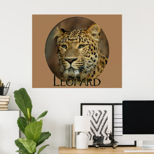 Affiche Leopard Lovers