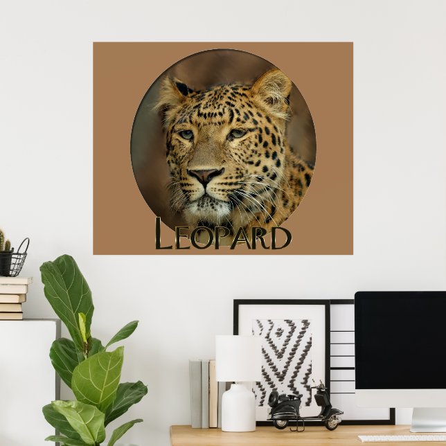 Affiche Leopard Lovers (Bureau à domicile)