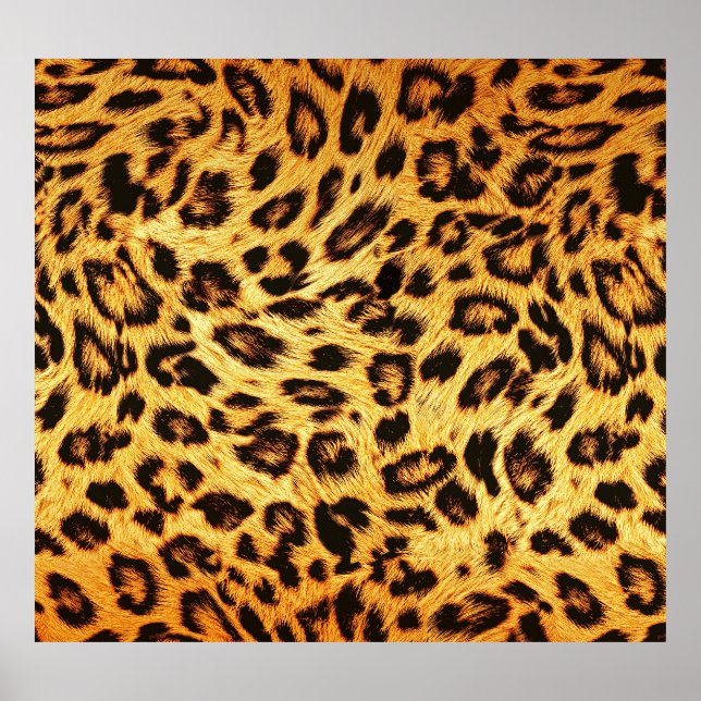 Affiche Leopard tendance : Motif de design de peau. (Devant)