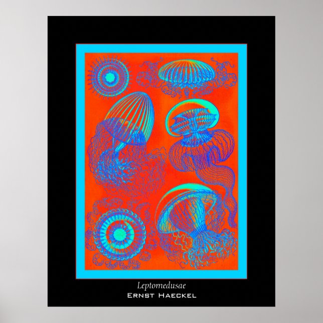 Affiche Leptomedusae ~ Ernst Haeckel Imprimer (Devant)