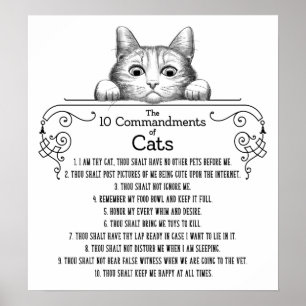 Affiche Les 10 commandements de chats amusants